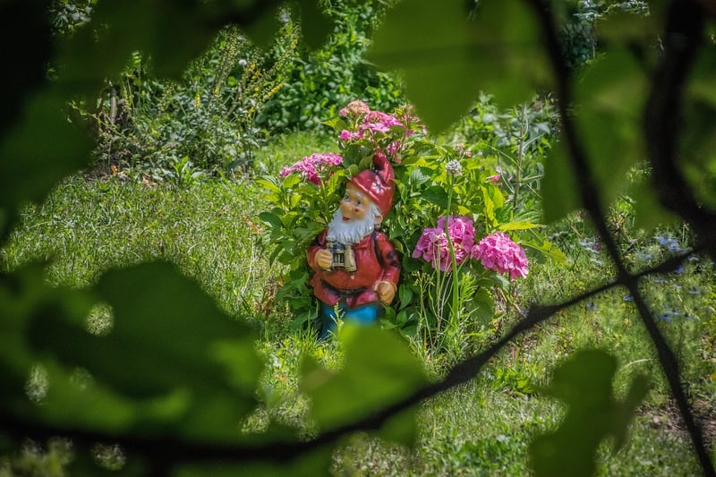 Pixie sanctuaries