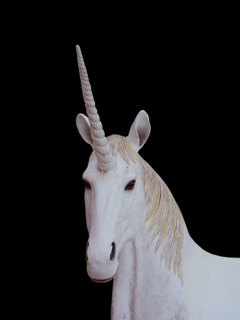 Unicorn galas